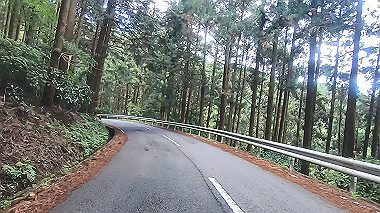 gx011030.mp4_snapshot_03.45_thumb.jpg