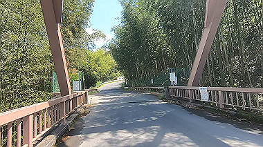 gx011043.mp4_snapshot_00.54_thumb.jpg