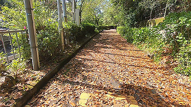 gx011066.mp4_snapshot_00.01_thumb.jpg