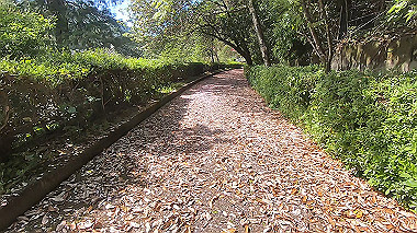 gx011066.mp4_snapshot_00.12_thumb.jpg