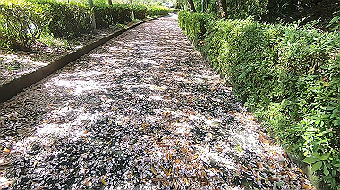 gx011066.mp4_snapshot_00.20_thumb.jpg