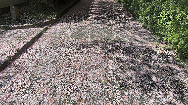 gx011067.mp4_snapshot_00.05_thumb.jpg