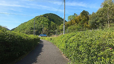 gx011067.mp4_snapshot_00.21_thumb.jpg