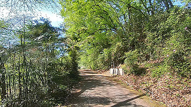 gx011069.mp4_snapshot_00.47_thumb.jpg