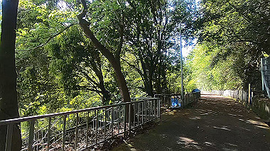 gx011069.mp4_snapshot_01.34_thumb.jpg
