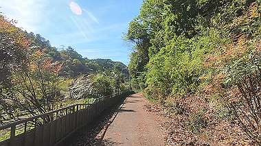 gx011069.mp4_snapshot_02.03_thumb.jpg