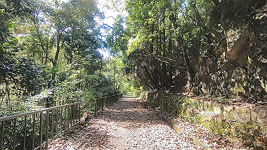 gx011070.mp4_snapshot_00.43_thumb.jpg