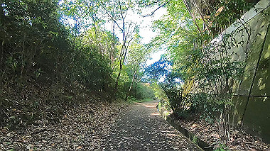 gx011070.mp4_snapshot_01.12_thumb.jpg
