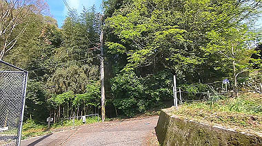 gx011071.mp4_snapshot_01.15_thumb.jpg
