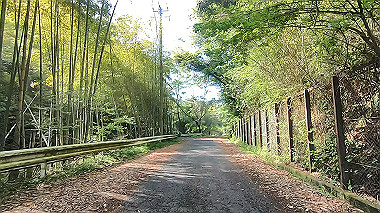 gx011071.mp4_snapshot_04.25_thumb.jpg