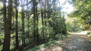 gx011072.mp4_snapshot_00.07_thumb.jpg
