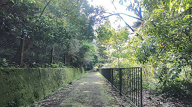 gx011072.mp4_snapshot_00.25_thumb.jpg
