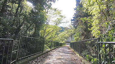 gx011072.mp4_snapshot_00.49_thumb.jpg