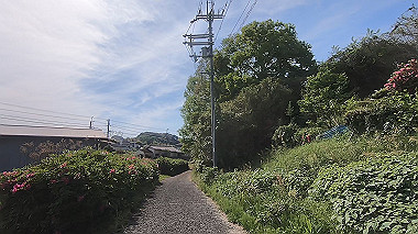 gx011072.mp4_snapshot_03.24_thumb.jpg