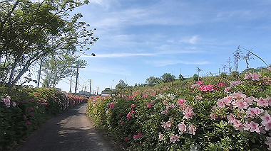 gx011072.mp4_snapshot_03.52_thumb.jpg