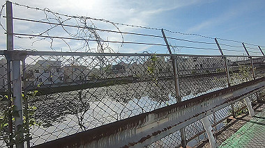 gx011079.mp4_snapshot_00.01_thumb.jpg