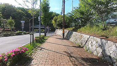 gx011080.mp4_snapshot_00.01_thumb.jpg