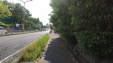 gx011080.mp4_snapshot_01.08_thumb.jpg