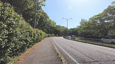 gx011081.mp4_snapshot_00.01_thumb.jpg