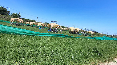 gx011087.mp4_snapshot_00.03_thumb.jpg