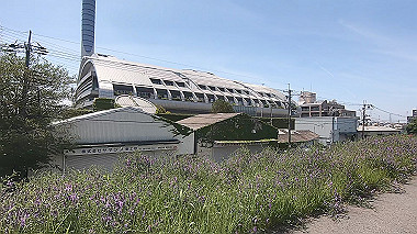 gx011097.mp4_snapshot_00.26_thumb.jpg