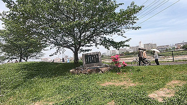 gx011104.mp4_snapshot_00.01_thumb.jpg