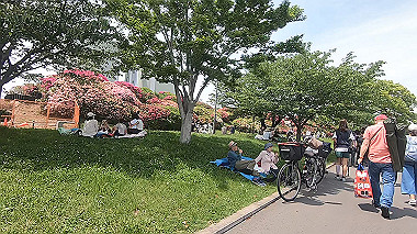 gx011104.mp4_snapshot_00.51_thumb.jpg