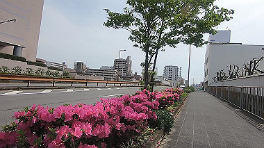 gx011125.mp4_snapshot_00.46_thumb.jpg