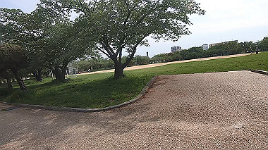 gx011137.mp4_snapshot_00.12_thumb.jpg