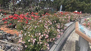 2024-05-20_12-47-49_491_thumb.jpg