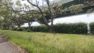 gx011152.mp4_snapshot_00.11_thumb.jpg