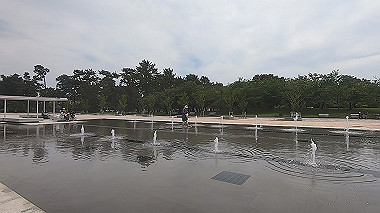 gx011158.mp4_snapshot_00.25_thumb.jpg