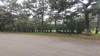 gx011159.mp4_snapshot_00.03_thumb.jpg