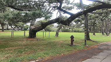 gx011159.mp4_snapshot_00.05_thumb.jpg