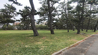 gx011159.mp4_snapshot_00.12_thumb.jpg