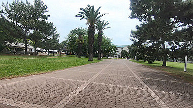 gx011160.mp4_snapshot_00.48_thumb.jpg