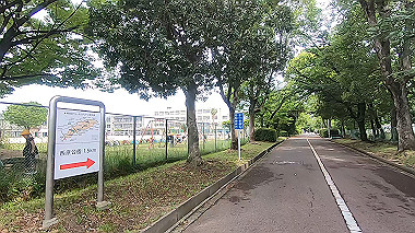 gx011166.mp4_snapshot_01.07_thumb.jpg