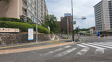 gx011167.mp4_snapshot_02.14_thumb.jpg