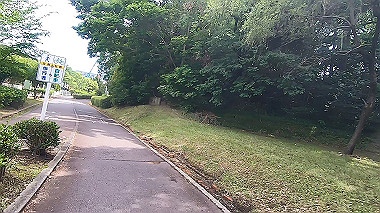 gx011168.mp4_snapshot_00.54_thumb.jpg