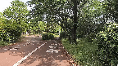 gx011168.mp4_snapshot_03.31_thumb.jpg