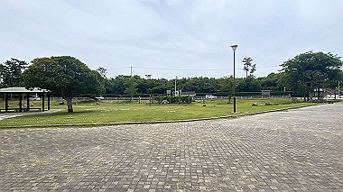 2024-05-24_13-02-54_370_thumb.jpg
