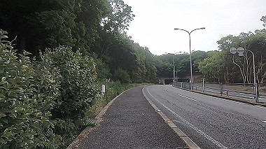 gx011171.mp4_snapshot_00.04_thumb.jpg