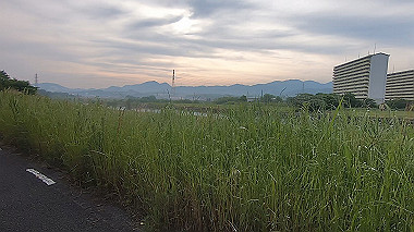 gx011176.mp4_snapshot_00.03_thumb.jpg