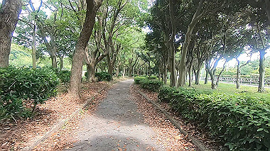 gx011192.mp4_snapshot_04.17_thumb.jpg