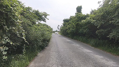 gx011194.mp4_snapshot_01.20_thumb.jpg