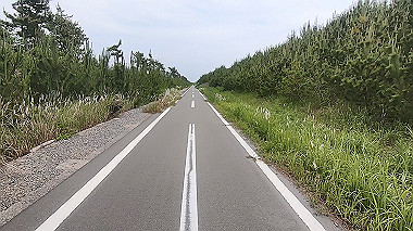 gx011195.mp4_snapshot_00.27_thumb.jpg