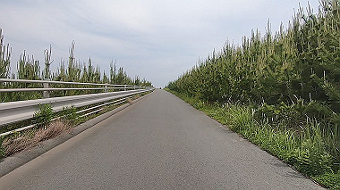 gx011196.mp4_snapshot_00.22_thumb.jpg
