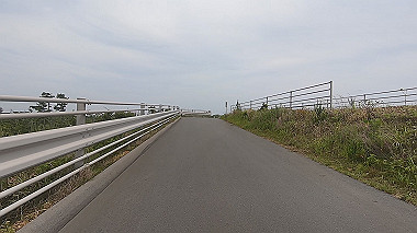 gx011196.mp4_snapshot_00.49_thumb.jpg