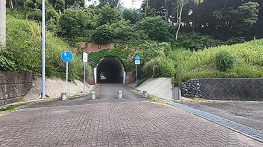 gx011252.mp4_snapshot_00.25_thumb.jpg