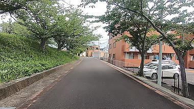 gx011252.mp4_snapshot_00.51_thumb.jpg